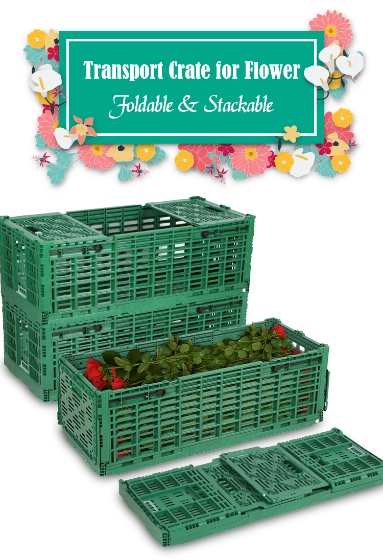 Plastic Foldable Crates for Moving Transport Fresh Cut Flower Buy